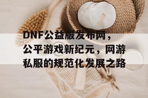 DNF公益服发布网，公平游戏新纪元，网游私服的规范化发展之路