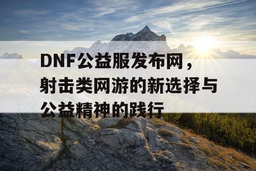 DNF公益服发布网，射击类网游的新选择与公益精神的践行