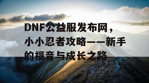 DNF公益服发布网，小小忍者攻略——新手的福音与成长之路