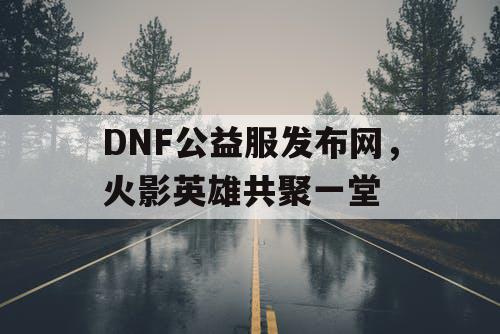 DNF公益服发布网，火影英雄共聚一堂