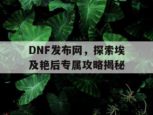 DNF发布网，探索埃及艳后专属攻略揭秘