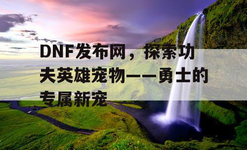 DNF发布网，探索功夫英雄宠物——勇士的专属新宠